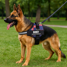 Load image into Gallery viewer, Personalized Reflective Dog Harness, Custom Name And Phone Number, For Your Dogs, For Your Cats, For Pet HeartfulPaws