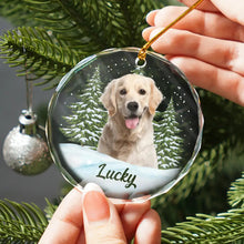 Load image into Gallery viewer, Custom Photo Pet Face - Christmas Gift For Dog Lovers, Cat Lovers, Pet Lovers, Pet Memorial - Personalized Circle Glass Ornament Glass Ornament HeartfulPaws