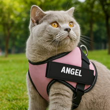 Load image into Gallery viewer, Personalized Reflective Dog Harness, Custom Name And Phone Number, For Your Dogs, For Your Cats, For Pet HeartfulPaws