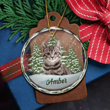 Load image into Gallery viewer, Custom Photo Pet Face - Christmas Gift For Dog Lovers, Cat Lovers, Pet Lovers, Pet Memorial - Personalized Circle Glass Ornament Glass Ornament HeartfulPaws