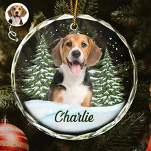 Load image into Gallery viewer, Custom Photo Pet Face - Christmas Gift For Dog Lovers, Cat Lovers, Pet Lovers, Pet Memorial - Personalized Circle Glass Ornament Glass Ornament HeartfulPaws