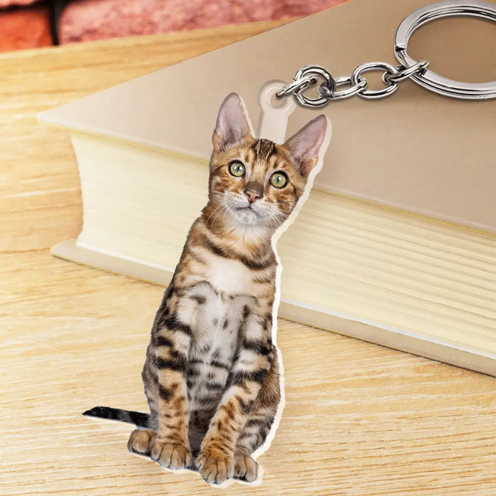 Custom Photo Every Day Is Brighter With My Furry Friend By My Side - Personalized Cutout Acrylic Keychain Acrylic Keychain HeartfulPaws