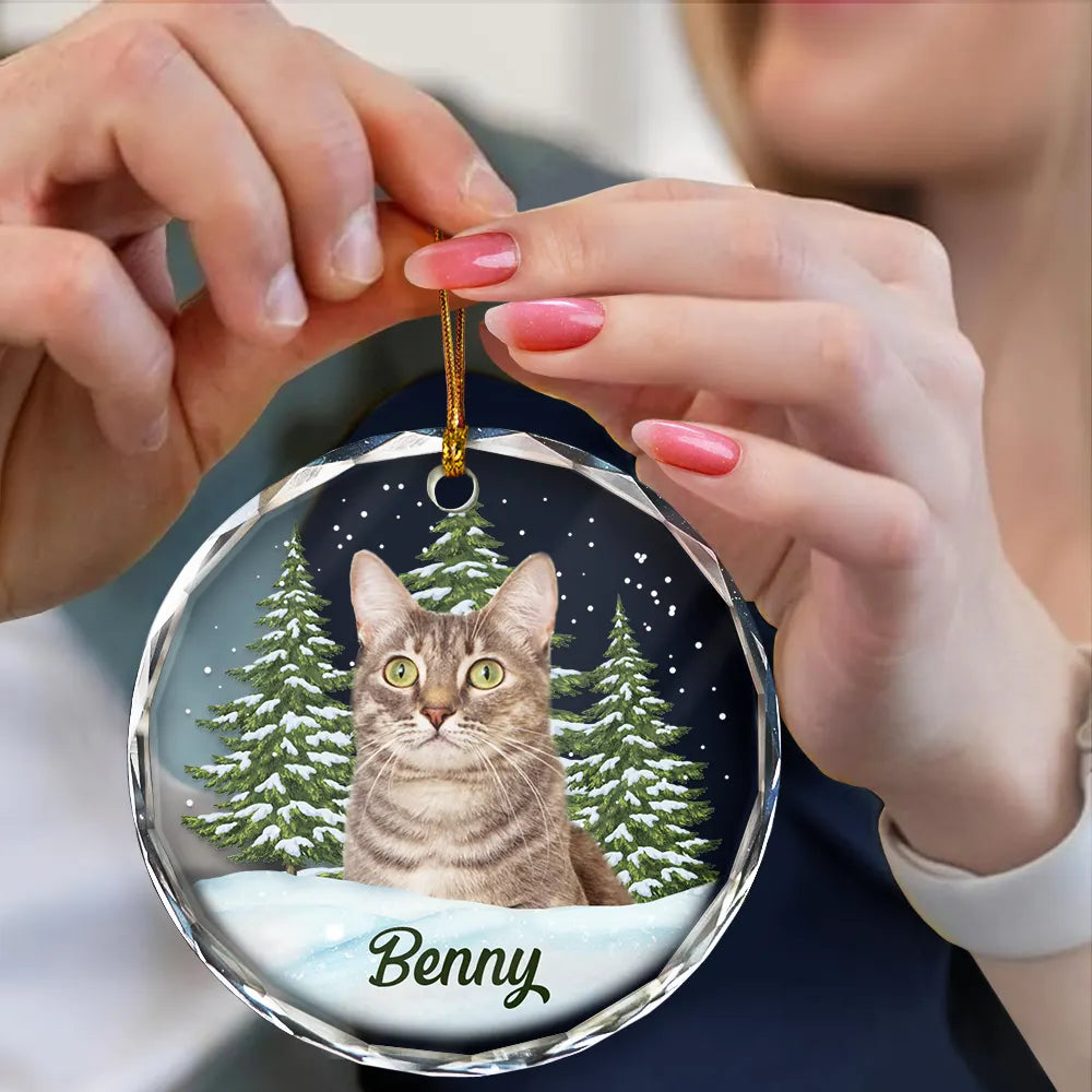 Custom Photo Pet Face - Christmas Gift For Dog Lovers, Cat Lovers, Pet Lovers, Pet Memorial - Personalized Circle Glass Ornament Glass Ornament HeartfulPaws