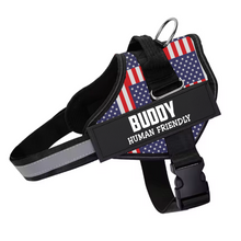 Load image into Gallery viewer, Personalized Reflective Dog Harness, Custom Name And Phone Number, For Your Dogs, For Your Cats, For Pet HeartfulPaws
