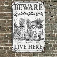 Load image into Gallery viewer, Spoiled Rotten Cats - Personalized Metal Sign Metal Sign HeartfulPaws

