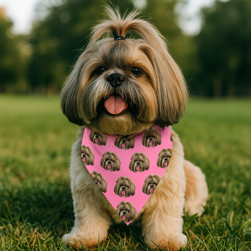 Multi Pattern Bandana Collar, Personalized Bandana Collar, Custom Gifts For Dog Bandana HeartfulPaws
