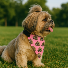 Load image into Gallery viewer, Multi Pattern Bandana Collar, Personalized Bandana Collar, Custom Gifts For Dog Bandana HeartfulPaws
