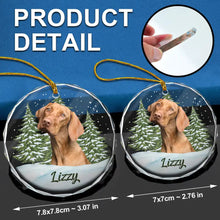 Load image into Gallery viewer, Custom Photo Pet Face - Christmas Gift For Dog Lovers, Cat Lovers, Pet Lovers, Pet Memorial - Personalized Circle Glass Ornament Glass Ornament HeartfulPaws
