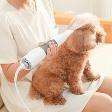 Load image into Gallery viewer, Pet Electric Hair Pulling And Blowing Comb, Pet Accessories, Products For Your Pet HeartfulPaws

