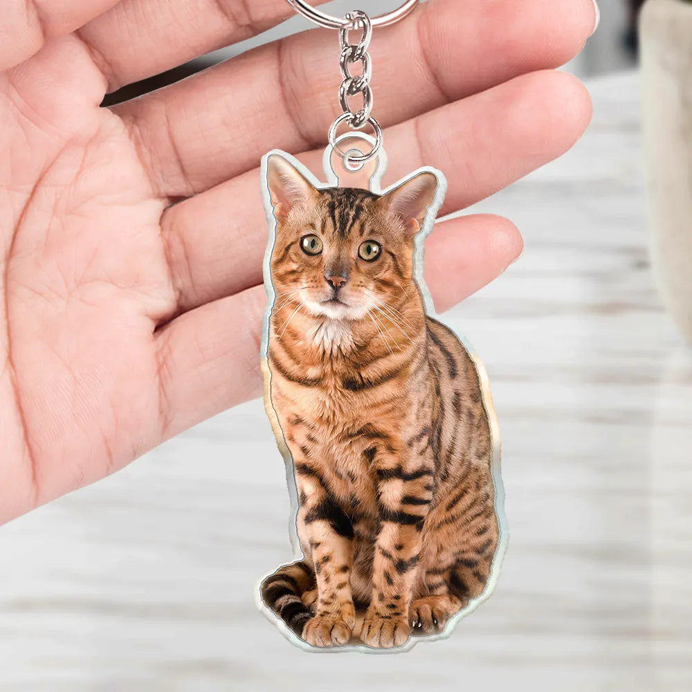 Custom Photo Every Day Is Brighter With My Furry Friend By My Side - Personalized Cutout Acrylic Keychain Acrylic Keychain HeartfulPaws