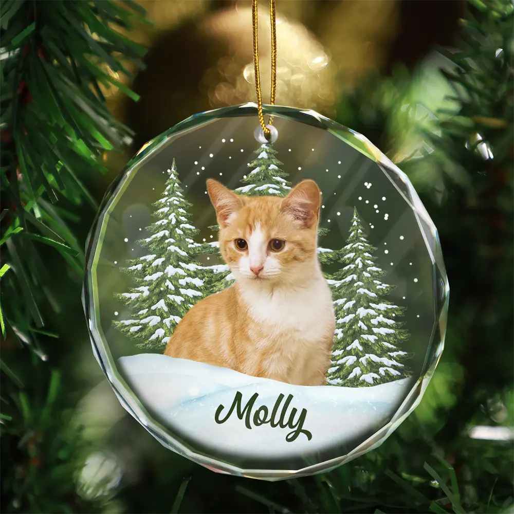 Custom Photo Pet Face - Christmas Gift For Dog Lovers, Cat Lovers, Pet Lovers, Pet Memorial - Personalized Circle Glass Ornament Glass Ornament HeartfulPaws